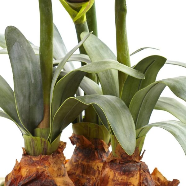 Amarylis Floral Arrangement in Vase (239MM) Discount - Image 3